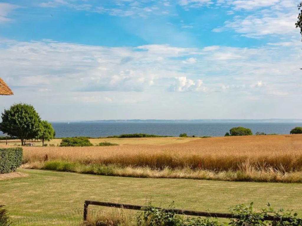 "Christian" - 250m from the sea in SE Jutland