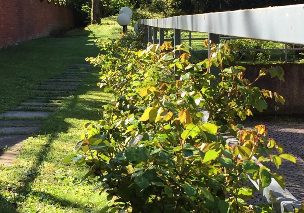Bed&Garden