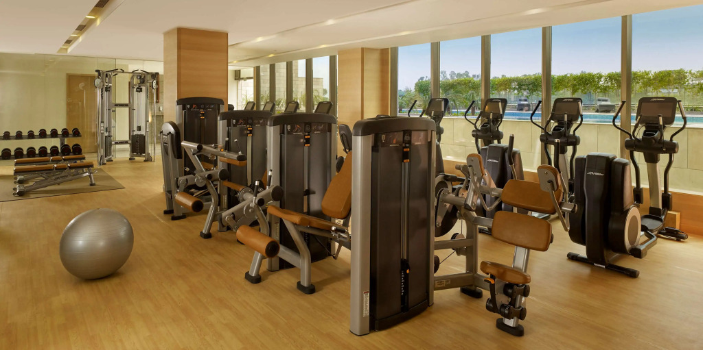 Hyatt Regency Chandigarh, Elante Mall