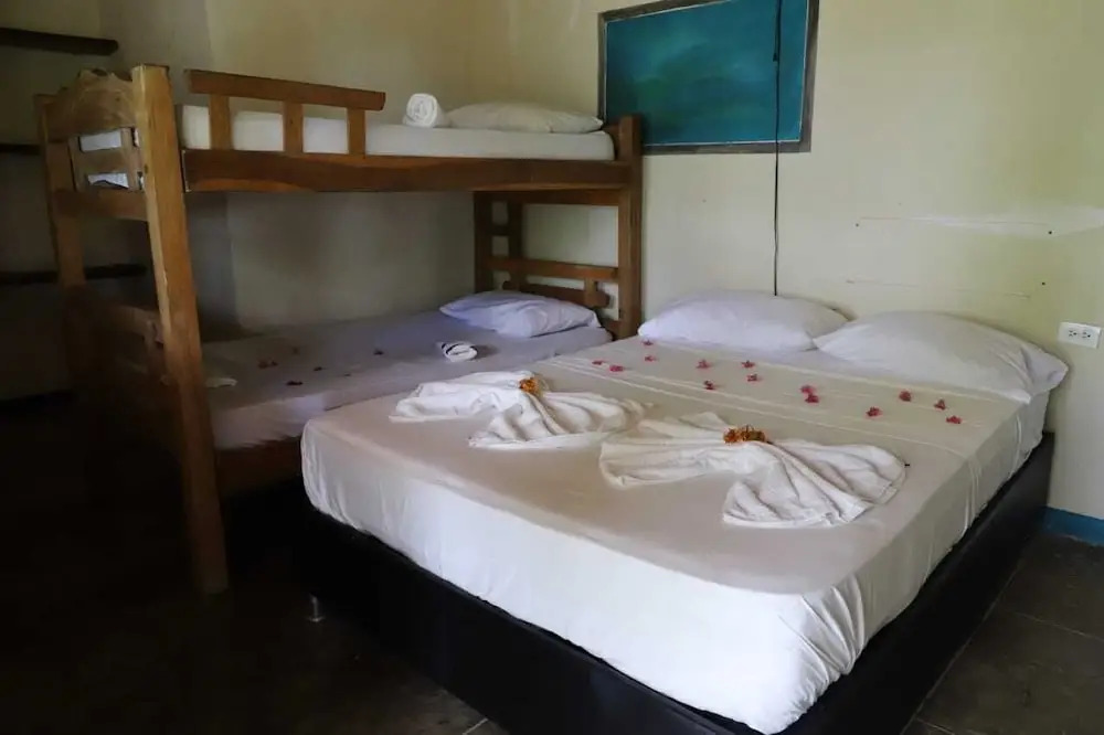Ecohotel La Cocotera - Hostel