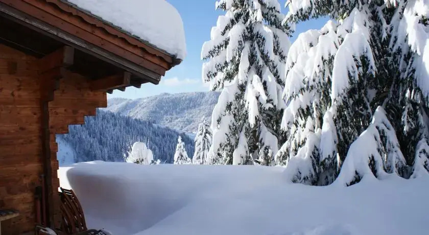 Chalet Fan la Bise