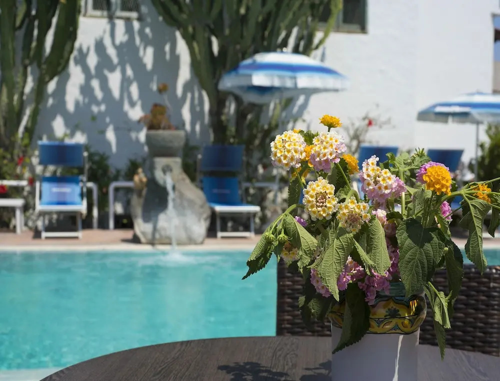 Accommodation for 6 With a Breathtaking View of Citara