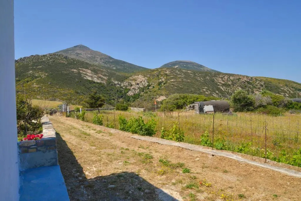 Xalakas Summer House