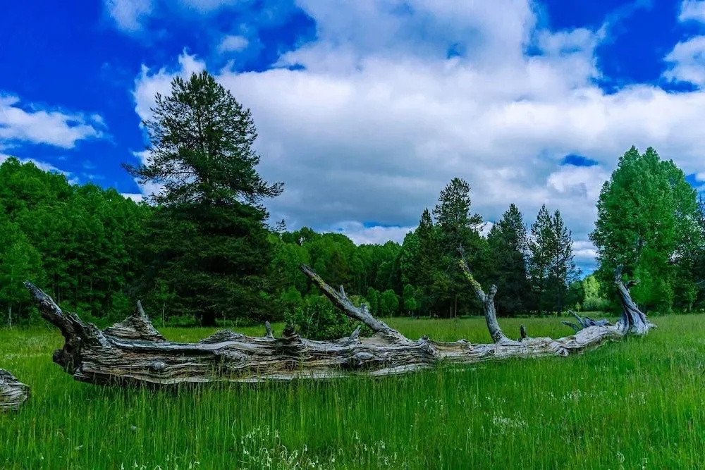 Sun Mountain Ranch Bunkhouse - Near Crater Lake