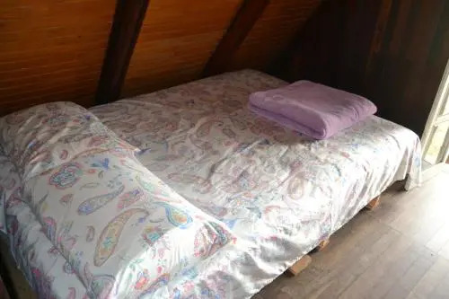 Hostel Raízes