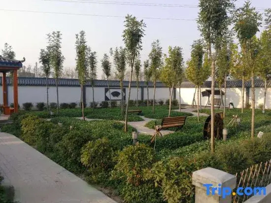 GreenTree Hotel (Yutai Bus Station)