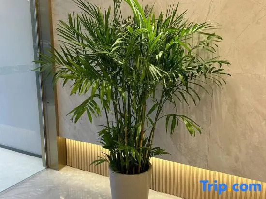 Yitel Zhige Hotel (Xuzhou Suning Plaza Hubushan)