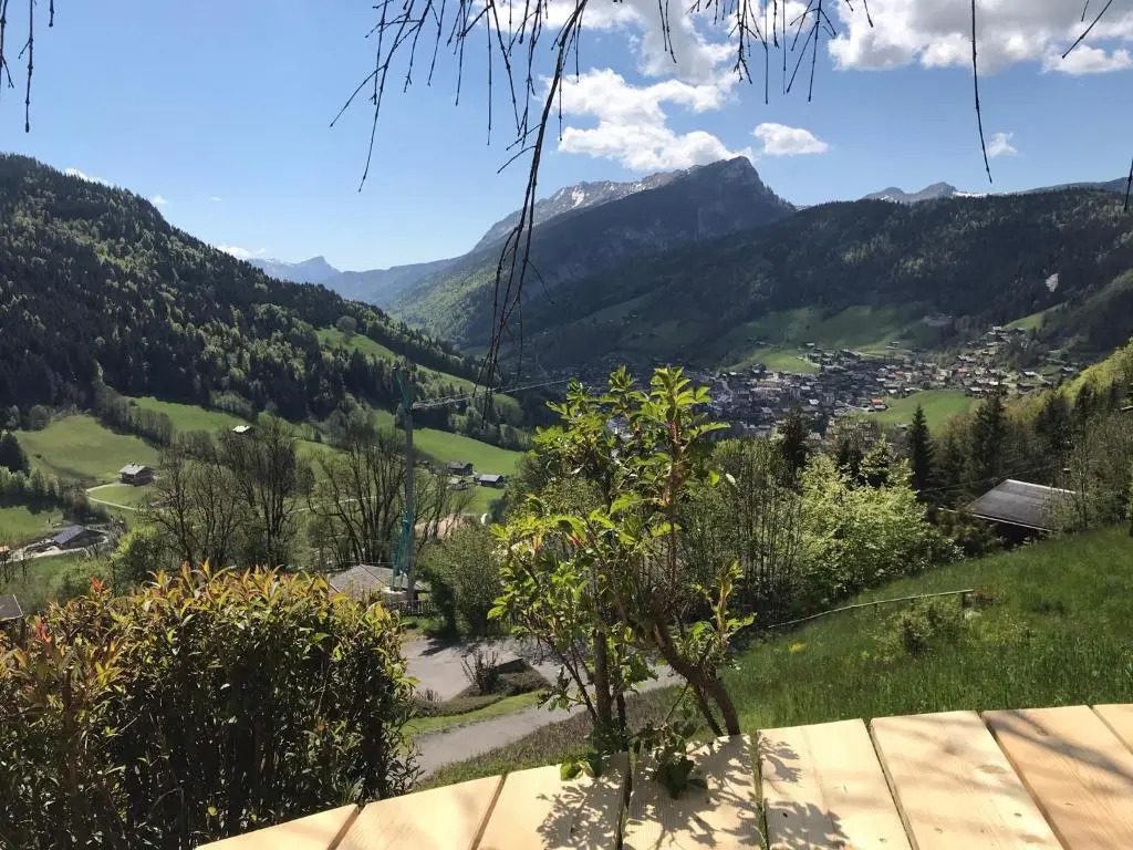 La marmotte qui papote