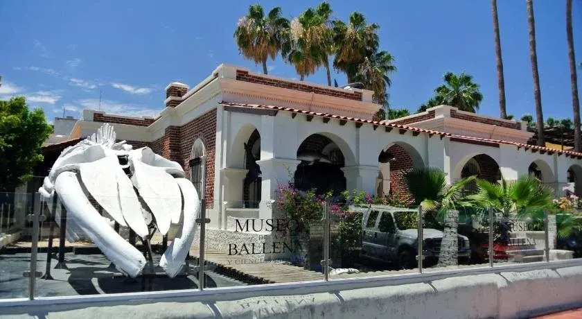 Bermejo Hostel & Backpackers