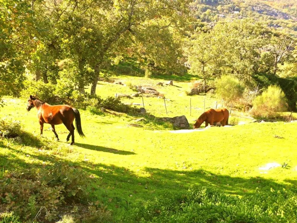 Quinta Do Marvao