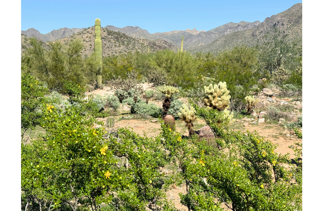 Hilton Scottsdale Resort & Villas