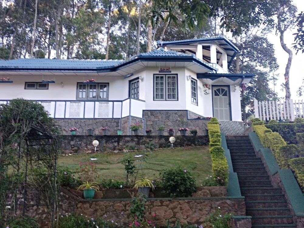 Windsor Forest bungalow