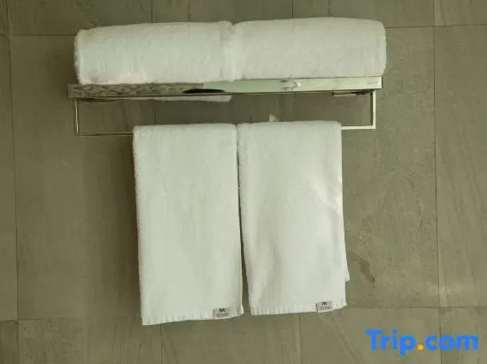 Atour Hotel Shanghai International Tourism Resort Chongxi Road