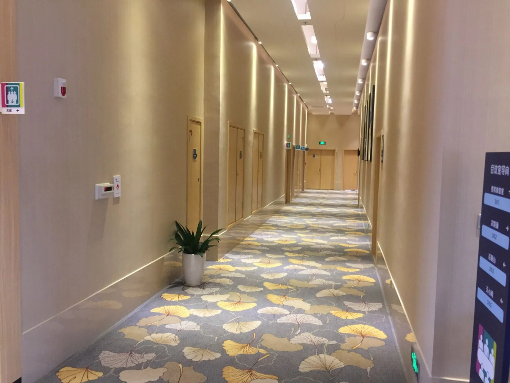 ibis Styles Changsha Intl Exhibition Ctr
