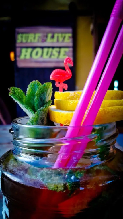 SURFtoLIVE House
