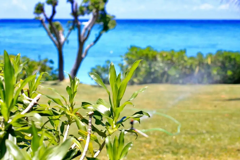 Cap Ouest Luxury Beachfront