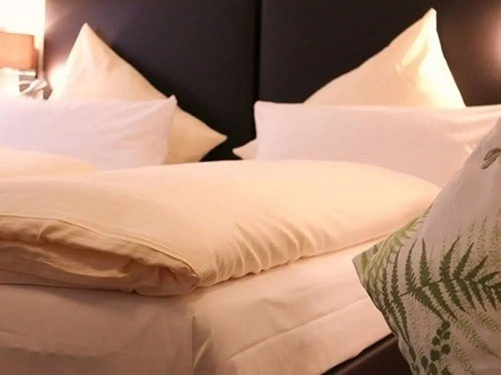 Baums Rheinhotel