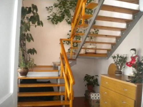 Mzia's House