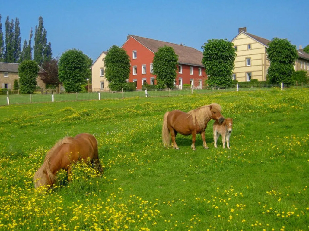 Bungalowpark Landsrade 34912