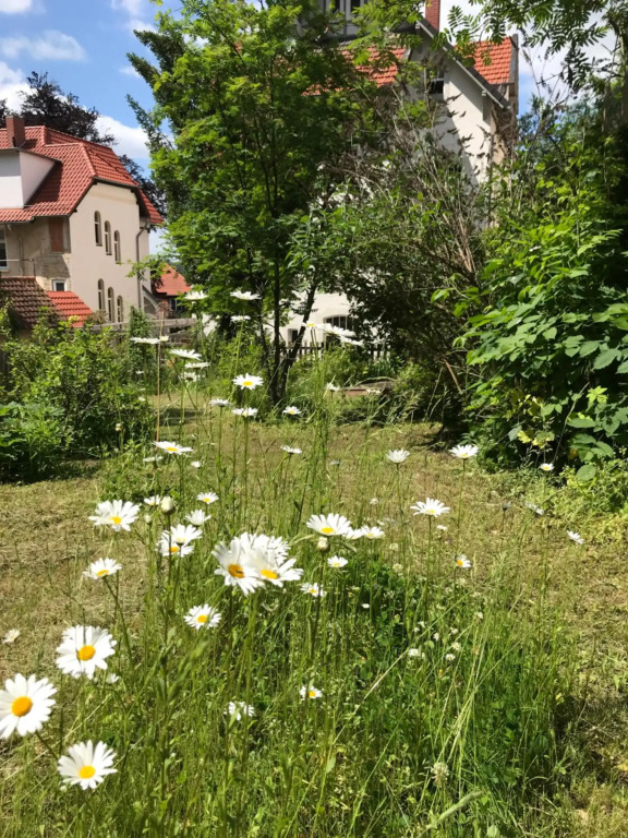 Villa Hanne mit Garten