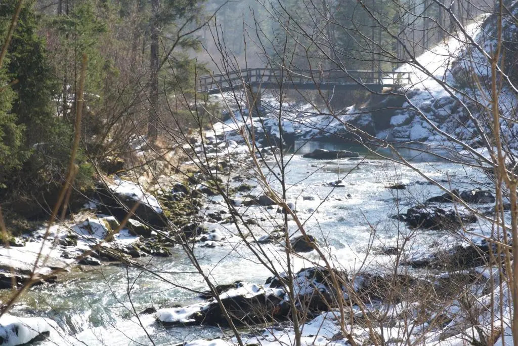 STEYR RIVER LODGE