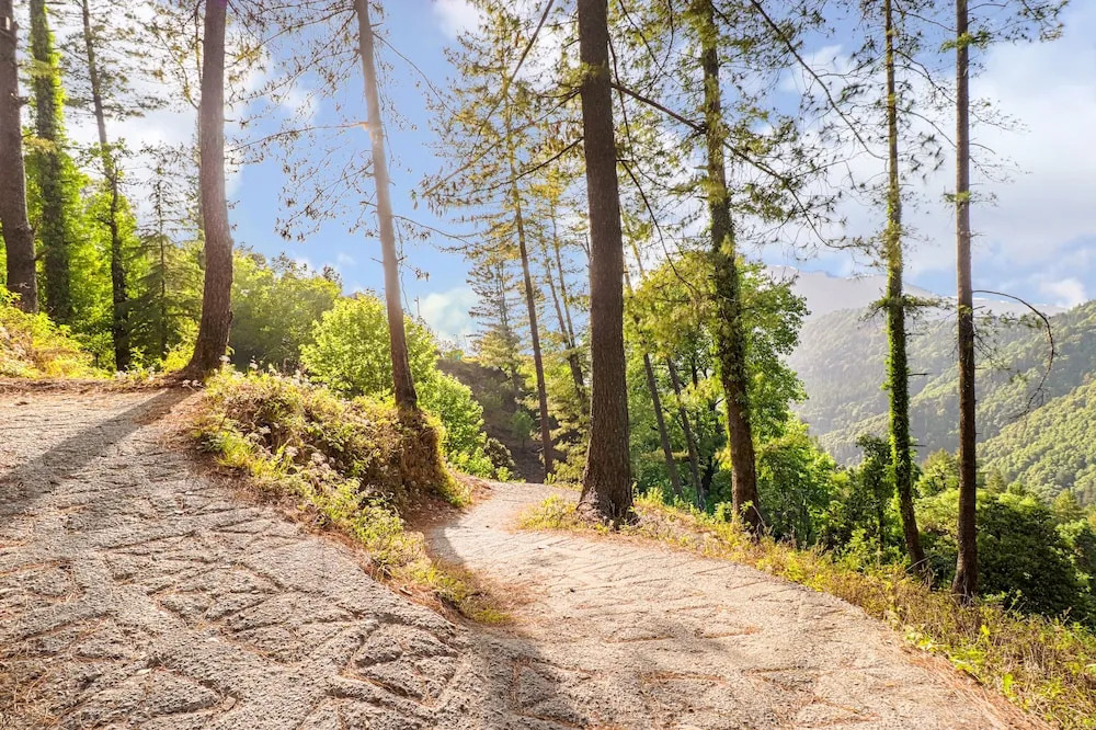 Nainital Retreat 2 Beds - by Dumnu Homes