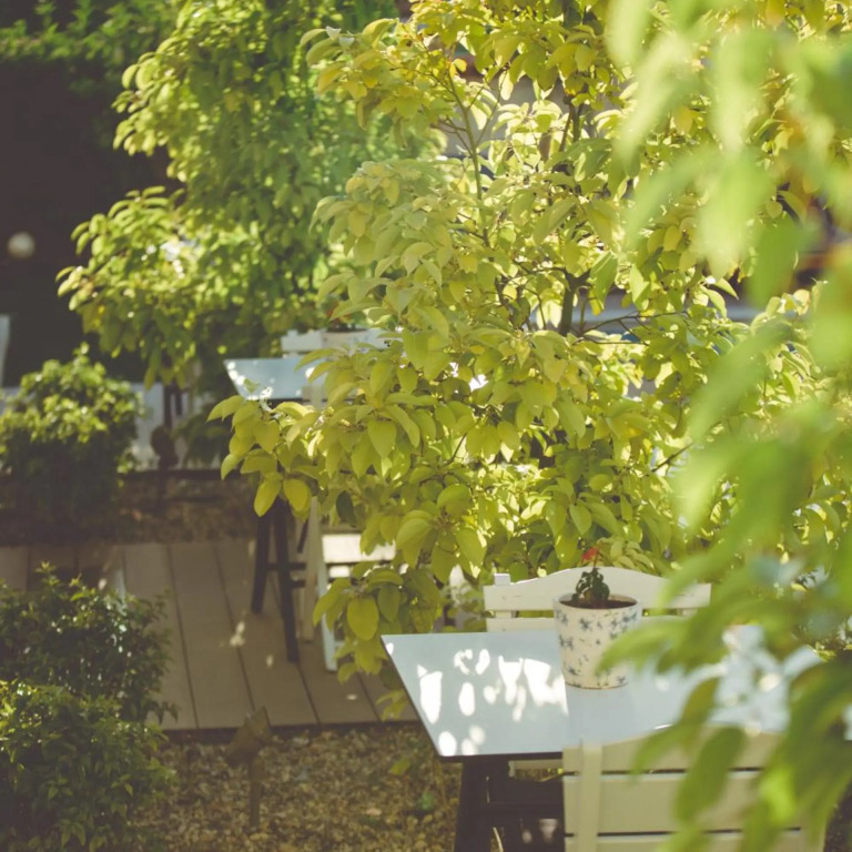 Levin Hotel Alacati