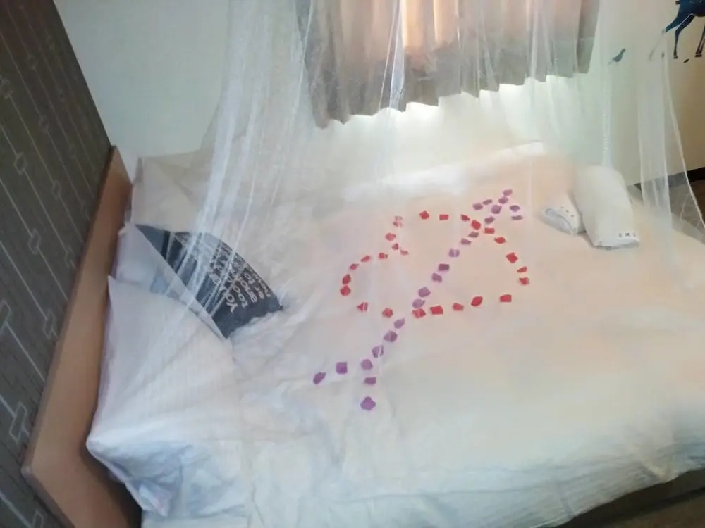 Loveplay House