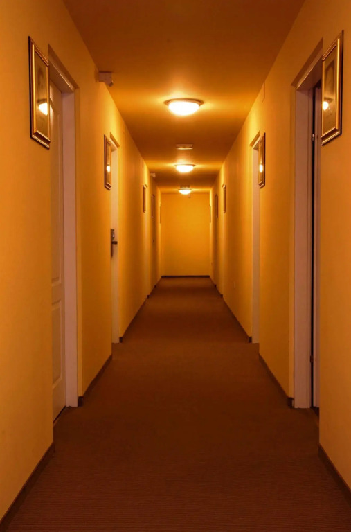 Hotel Lisinski