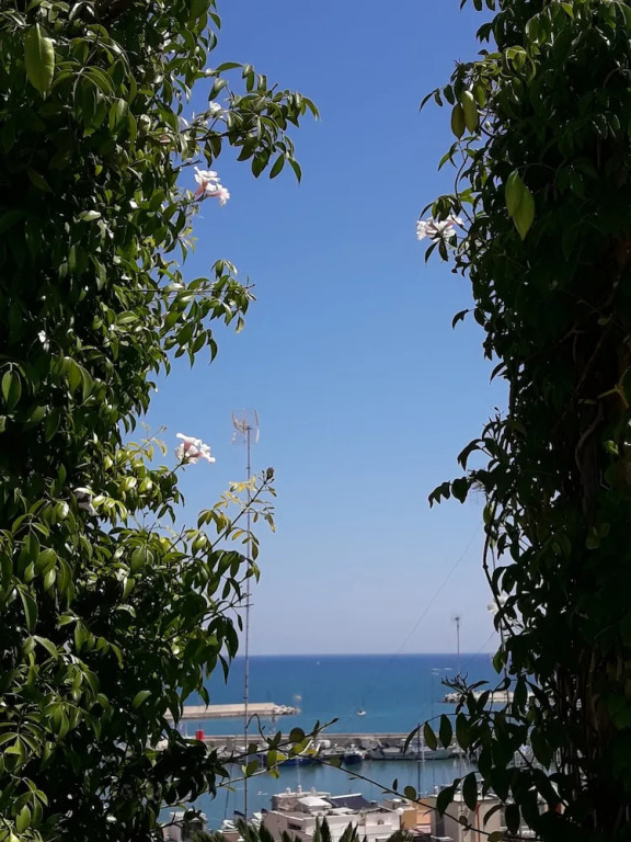 B&B Le Terrazze