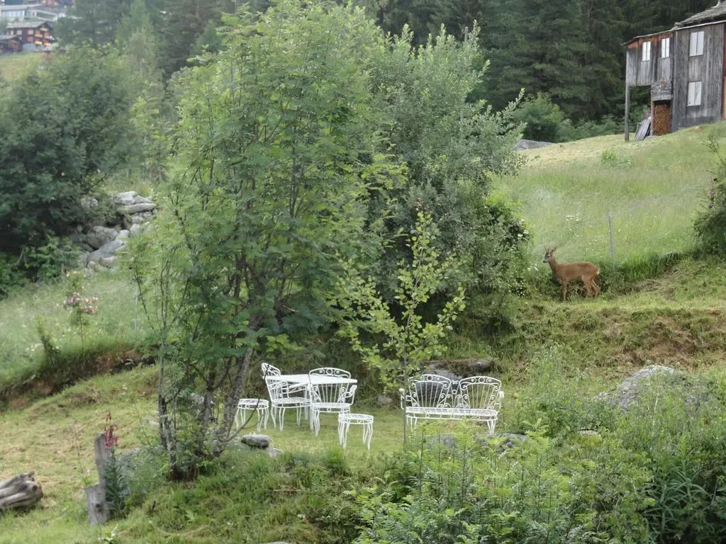 Chalet Sven & Marc Grächen, Niedergrächen Vallis