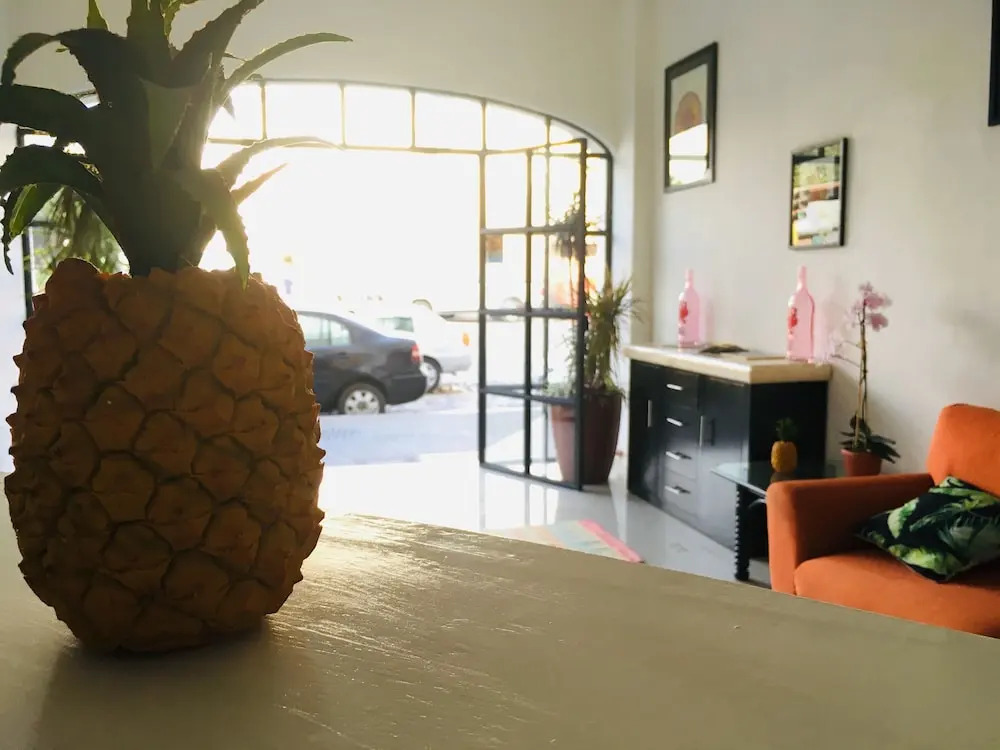 Tropicus 2 Romantic Zone Doble Room