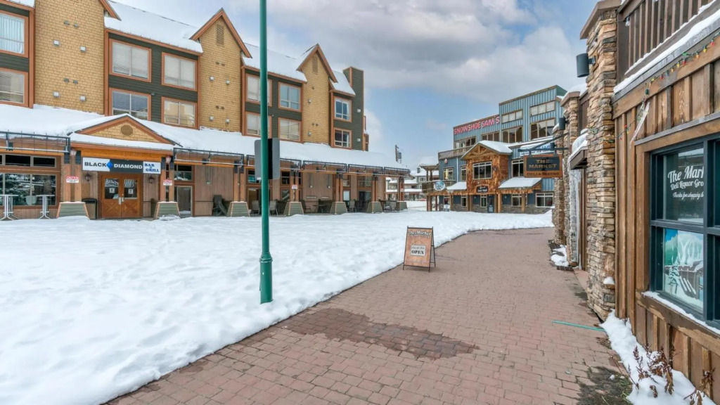 Raven's Nest - Luxury Pet Friendly Condo w/ Private Hot Tub & Mountain Views