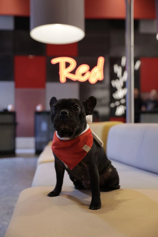 Radisson RED Ibirapuera