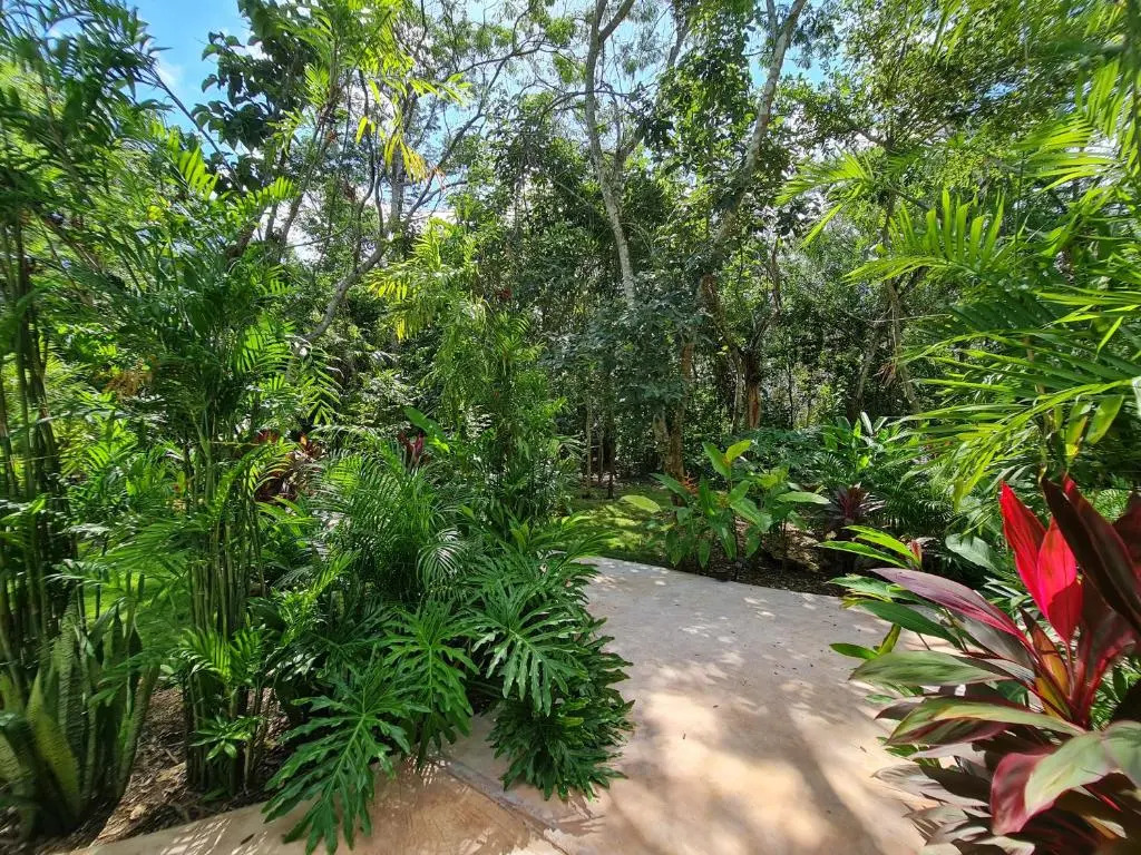 Secret Gardens Bacalar Suite 01 con alberca y bicicletas