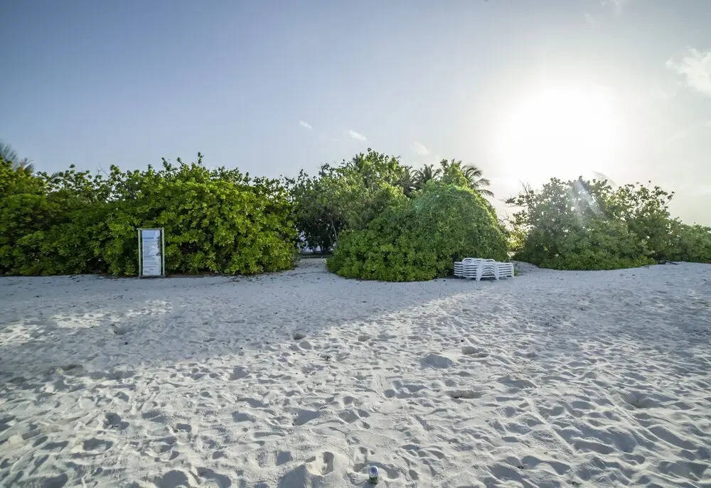 Portia Hotel & Spa - Beachfront