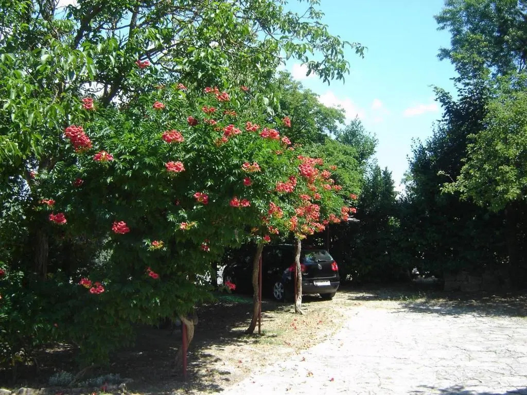 Apartments Grgorinić - Ground Floor