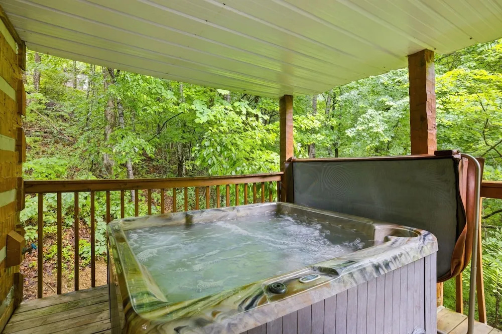 Black Bear Hideaway 2 Bedroom Home