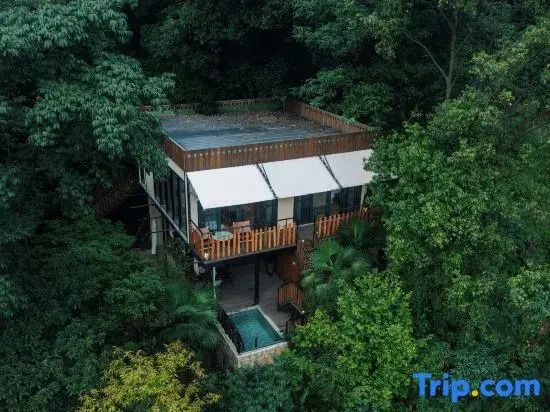 Misty Forest Retreat