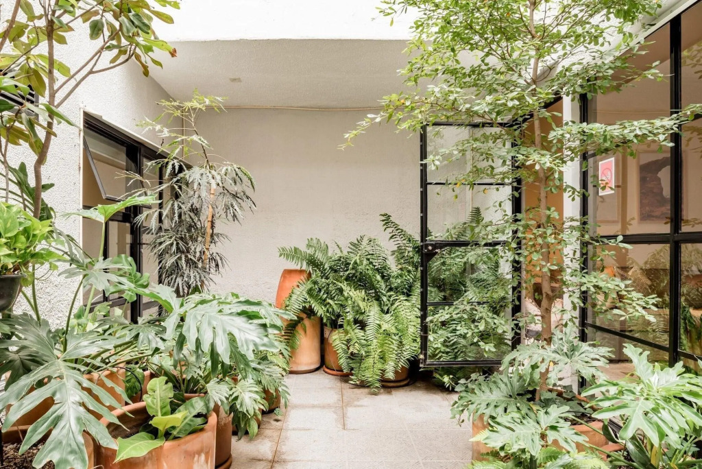 Casa Alexia