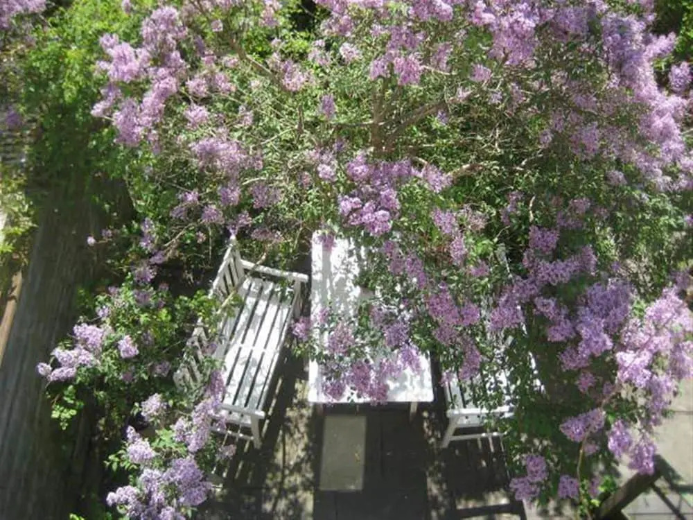The Little Guesthouse