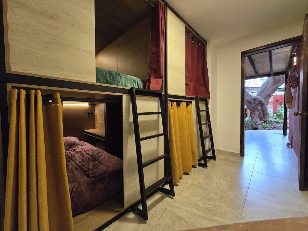Casa del Árbol Hostel Xochimilco