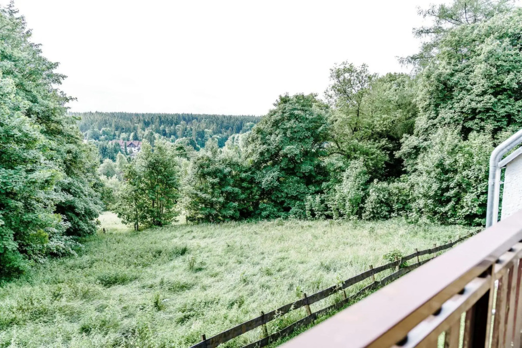 Wiesenblick