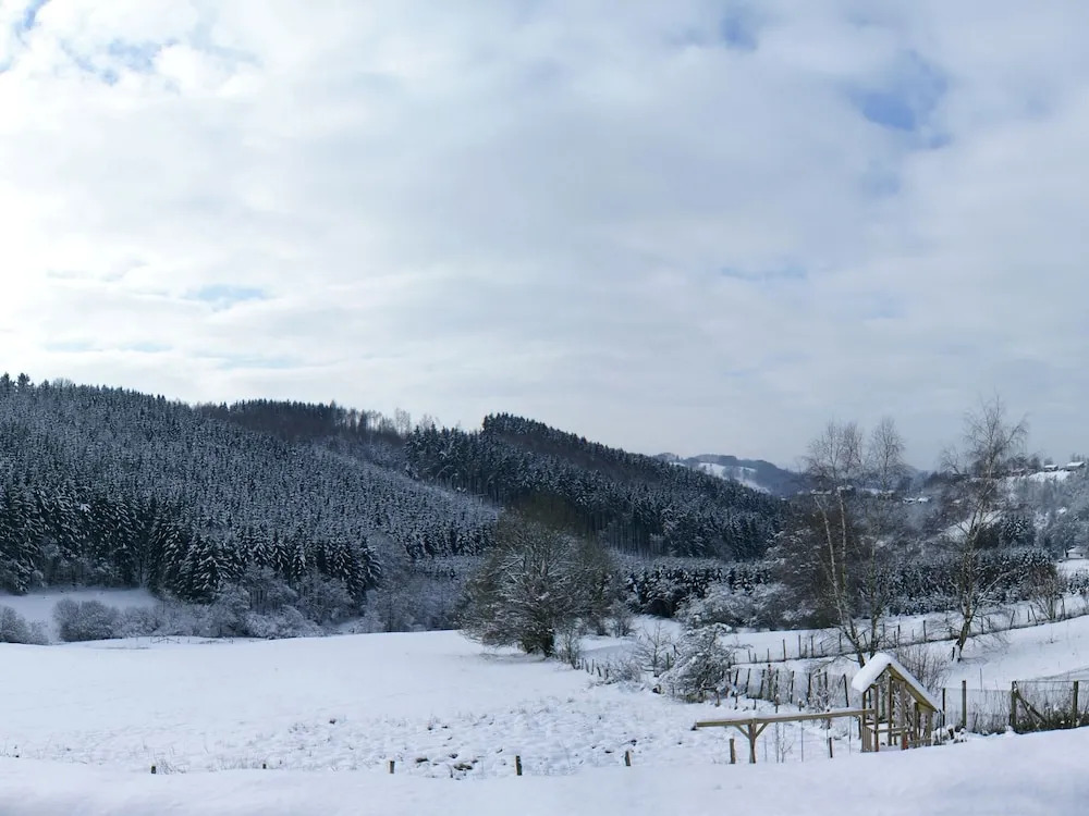 Luxurious Holiday Home in Malmedy with Sauna