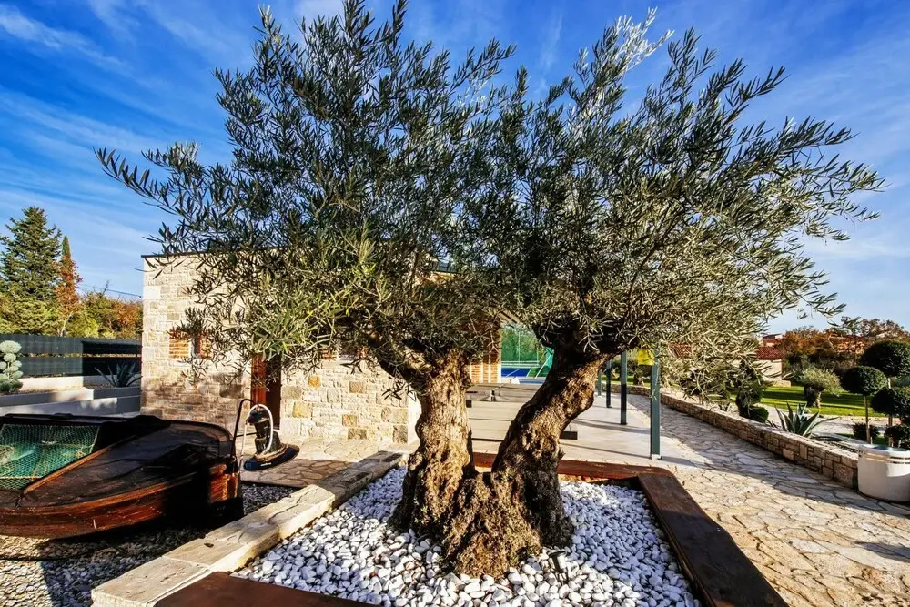 Villa Marta ZadarVillas