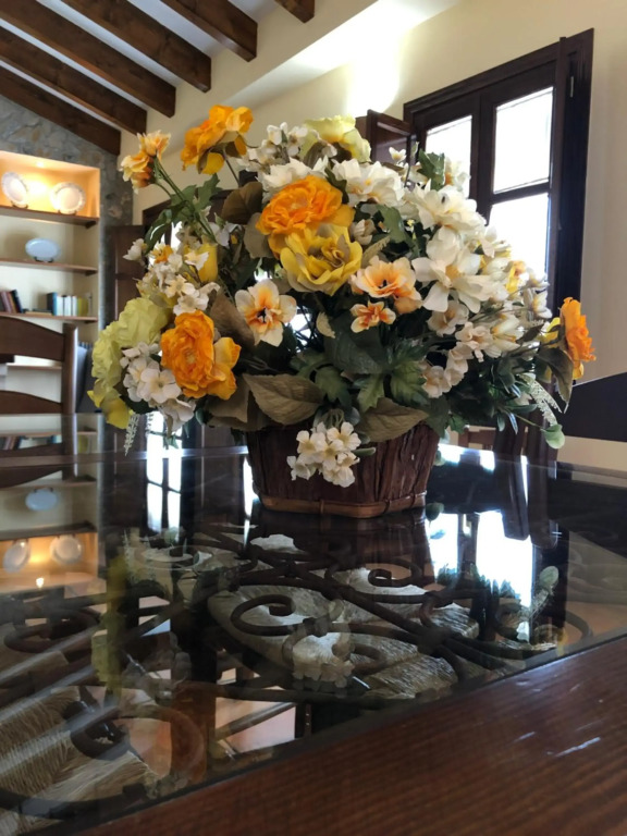 La casa de Tita Elvira 6