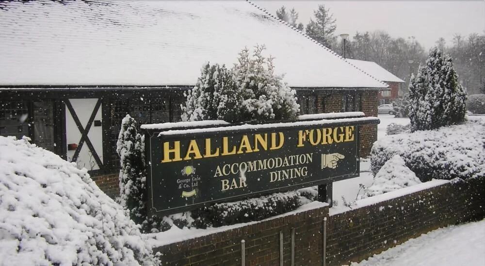 The Forge