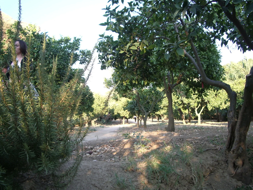 Villa dei giardini