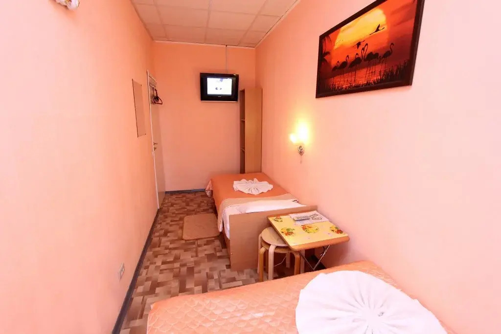 Geralda Ekonom otel' na Pushkinskoy 11