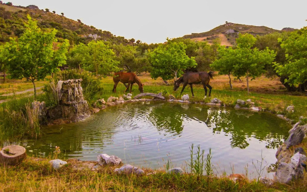 Lefkogia Farm